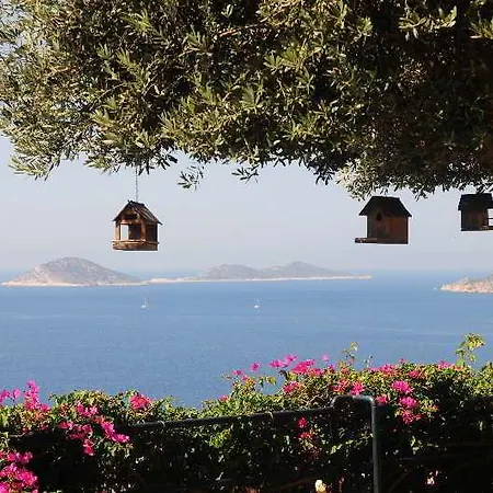 Hotel Merlot Kalkan Kaş